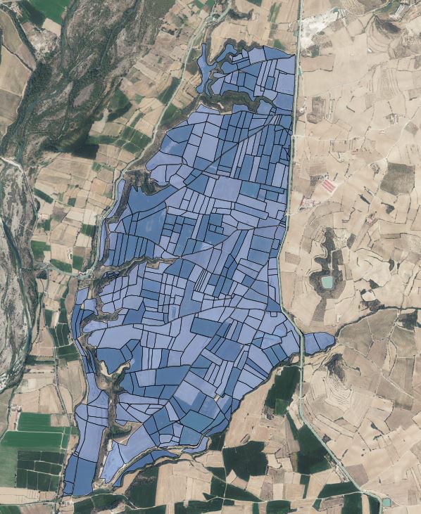 Texto de Odoo y bloque de imagen